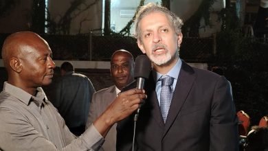 السفير المصري