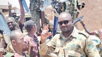 الجيش في شنار