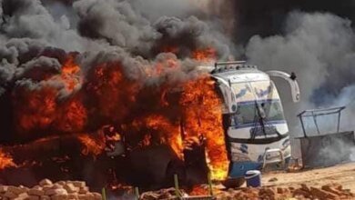 IMG 20240501 WA04481