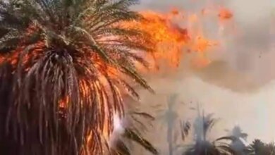 حريق يخلف خسائر كبيرة بمشروع نوري الزراعي 18 IMG 20240524 WA0331