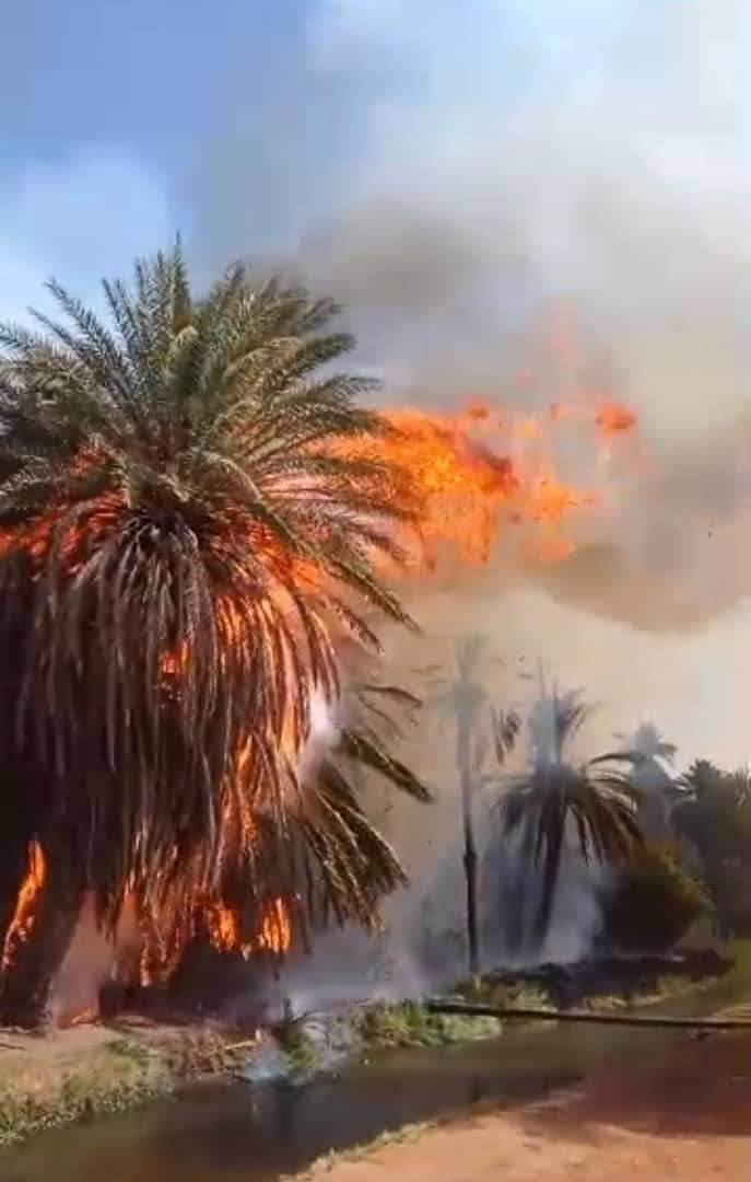 حريق يخلف خسائر كبيرة بمشروع نوري الزراعي 11 IMG 20240524 WA0331