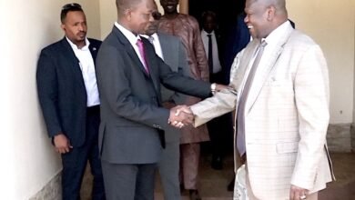 كباشي ومشار