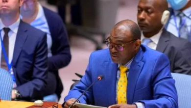 مجلس الأمن يعتمد رسالة مندوب السودان وثيقه لديه 17 1706678814blobid0