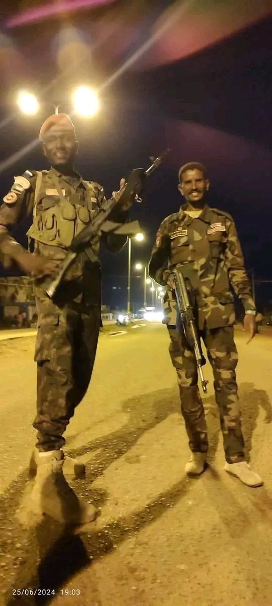 سنار:الجيش يصد هجوما على بعد 50كيلو متر 11 1719342886850