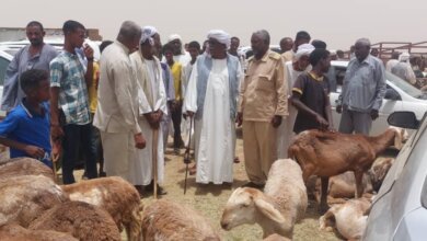 والي نهر النيل يرسل رسالة ساخنة لتجار المواشي 15 IMG 20240615 WA0233