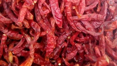 ياخبر..سعر جوال الشطة نصف مليون جنيه 17 IMG 20240619 WA0471