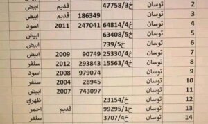 IMG 20240628 WA0056 720x470 1 720x430 1