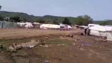 Screenshot ٢٠٢٤٠٦٢١ ١١١٠٤٨ WhatsApp 750x430 1