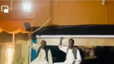 البجا 750x375 1