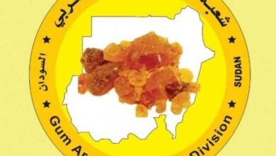 شعبة مصدري الصمغ العربي