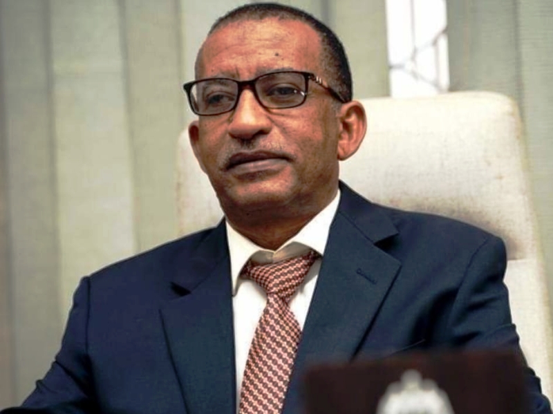المؤتمر السوداني يستنكر حظر القيادية حنان 11 12
