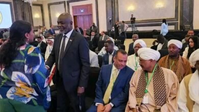 انطلاق مؤتمر القاهرة للقوى السياسية السودانية 14 1720250522926