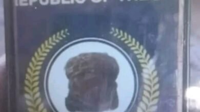 القضارف.. القبض على عناصر من الدعم السريع يحملون جوازات “جمهورية آل دقلو 16 1720890277839