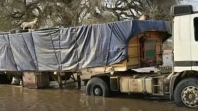 الأغذية العالمي: معبر الطينة اصبح غير قابل لإيصال المساعدات 16 17217362316812