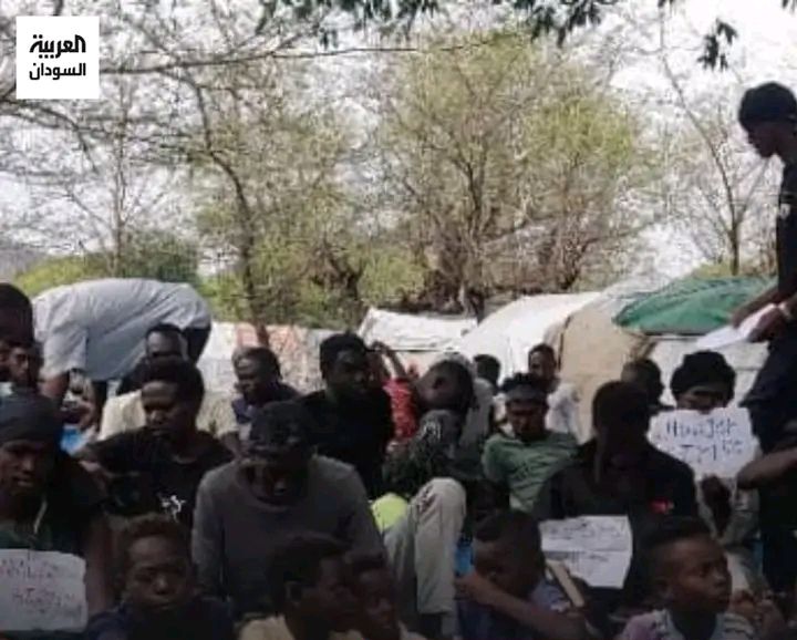 هجوم جديد على السودانيين العالقين بغابات اثيوبيا 11 17219847686412