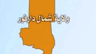 شمال دارفور تكشف عن حاجتها لخمسة اطنان من المساعدات 14