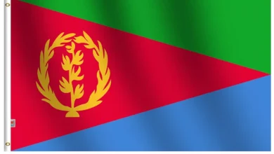 616rXnxtZoL. UF10001000 QL80 FMwebp