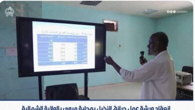 مروي تبحث اسباب حرائق النخيل 14 IMG 20240703 WA0131