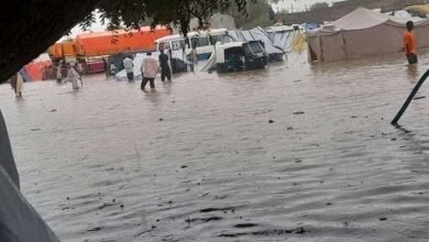 IMG 20240726 WA0029 2