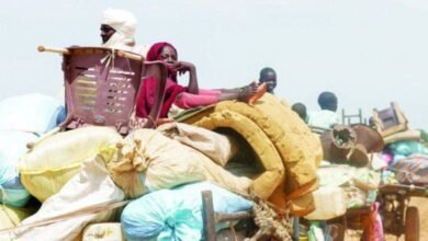 IMG 20230803 101155 780x470 1