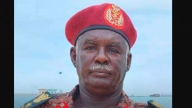 شيبة ضرار 1 810x476 2 780x470 1