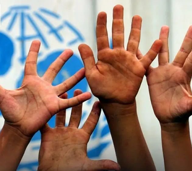 اليونسيف:إعلان المجاعة في زمزم مؤشر لأزمة 11 17233595149422