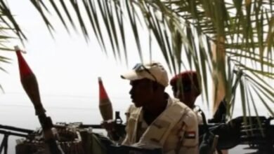 لجان مقاومة الفاشر :قصف مدفعي على احياء الفاشر من قبل المليشيا 14 17242442438152