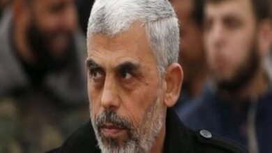 2017 10 19 18 37 47 961 740x470 1