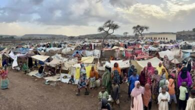 20240721 095156 750x430 1