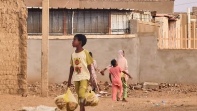 33KH384 highres scaled 1