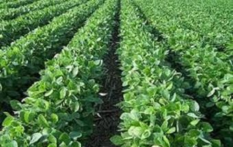 497748 KMr7Rm bWx0VxmnlWYm7r 6hOERXHly7 1