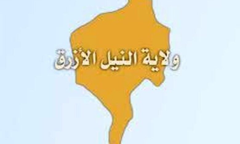 مقاومة الدمازين:انتشار المليشيا بمحلية التضامن مع هدوء الاحوال 11 780x470 1 780x470 2