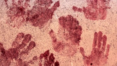 GettyImages 1138050047