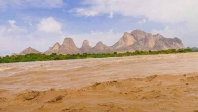 عاجل..نهر القاش ينذر بخطر قادم 16 IMG 20240815 WA0116