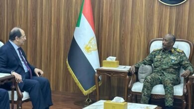 IMG 20240823 WA01981