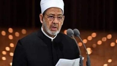 IMG 20240828 WA01241