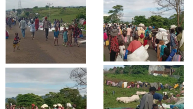 بالصور:اللاجئون السودانيون يواصلون رحلة العودة للسودان 16 img 1723619201112