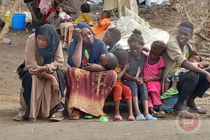 untitled 1717413519 jpg 1717413519.wm