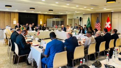  الحزب الديمقراطي الليبرالي يرفض التدخلات الخارجية