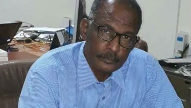 ما وراء الخبر | محمد وداعة: الإمارات لم ترحب!