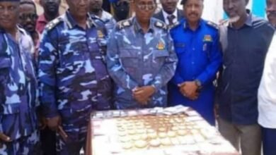 ١٠ ٣٥ ٠٨ IMG 20240811 WA0142