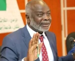 منظمة أجنبية تتأهب لتشغيل مشاريعها بالسودان ووزير المالية يتعهد بمعالجة مشكلاتها!