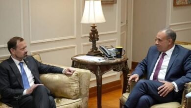 ١٧ ٣٠ ٤٣ المبعوث الأميركي الخاص إلى السودان ووزير الخارجية المصري