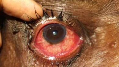 ٢١ ٤٢ ٤١ IMG 20240810 WA0090