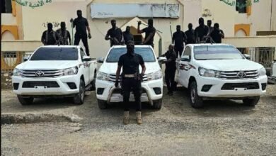 3605fd58 17b1 4128 a4f8 42aa771417e7