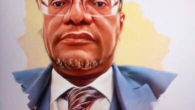 677f963b c791 484c 8461 00b8c46e7f6d