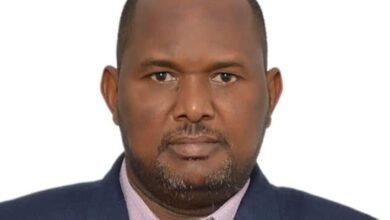 7ae95d90 6d2c 44ca bf0e 8652b10eca62