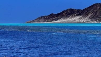 حل لغز أختفاء غواصين بعرض البحر 16 IMG 20240917 WA0054