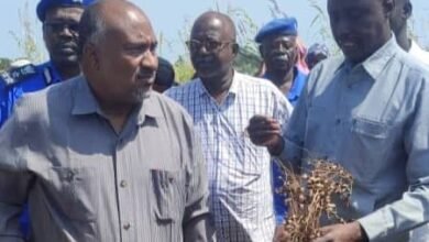 d14615c7 8635 4763 99a8 3643b04faeca