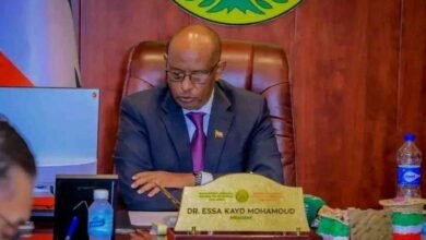 d27bd4ec 0c52 4977 bd27 864bd82585a9